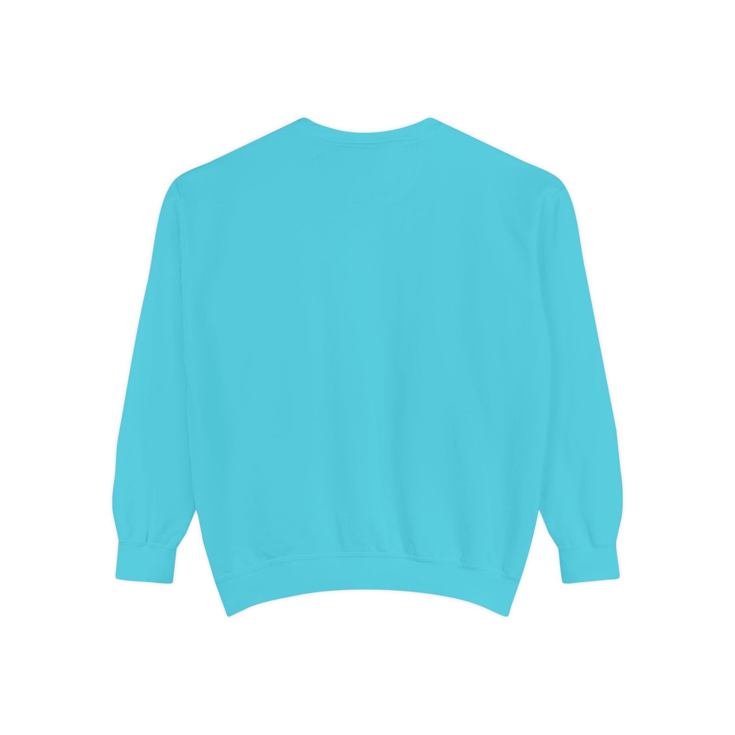 EMS Unisex Garment-Dyed Sweatshirt –You remind us that heroes come in many forms